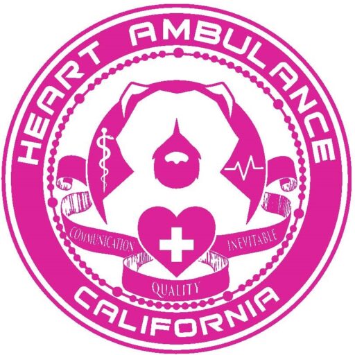 Heart Ambulance